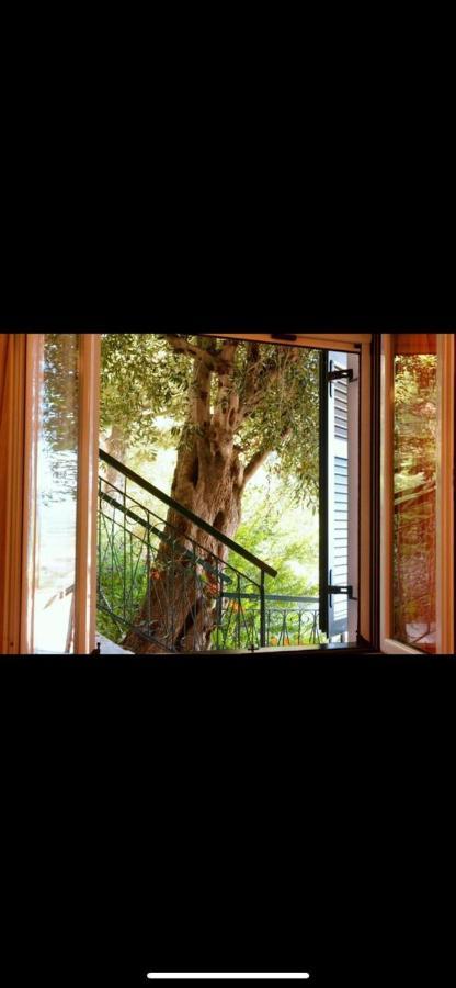 Glyfada Villa View Glifada Eksteriør billede